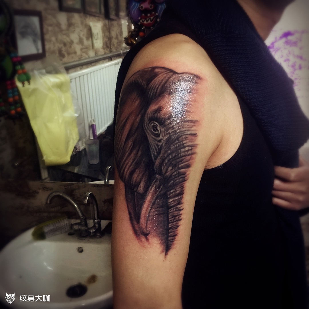 写实大象_纹身图案手稿图片_青山的纹身作品集