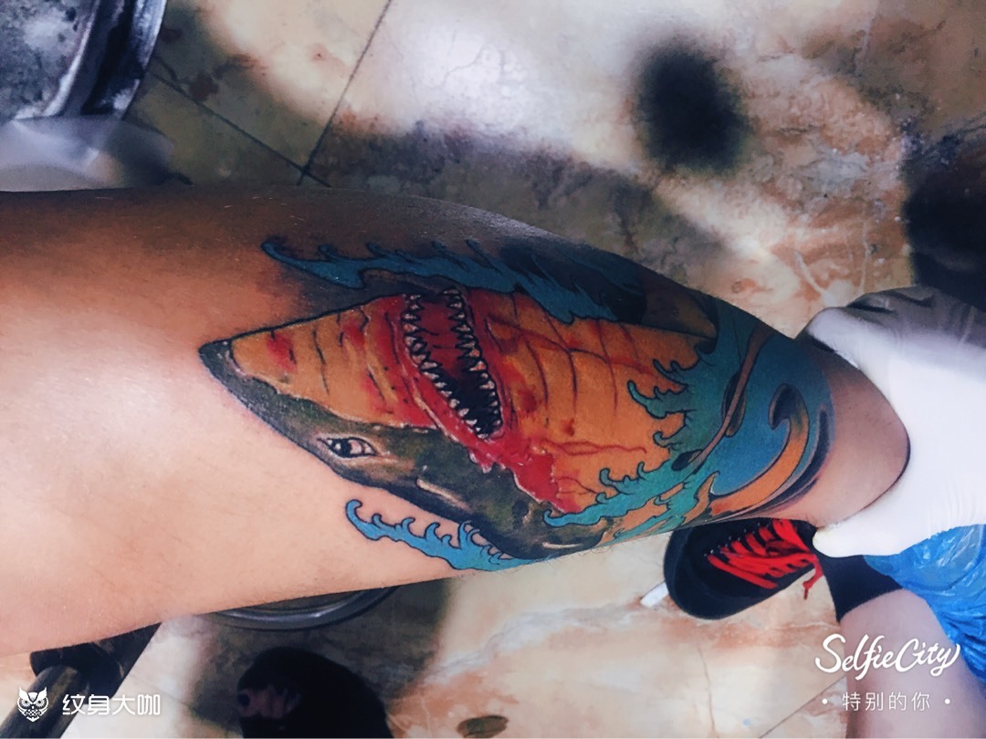 鲨鱼_纹身图案手稿图片_刘二峰的纹身作品集