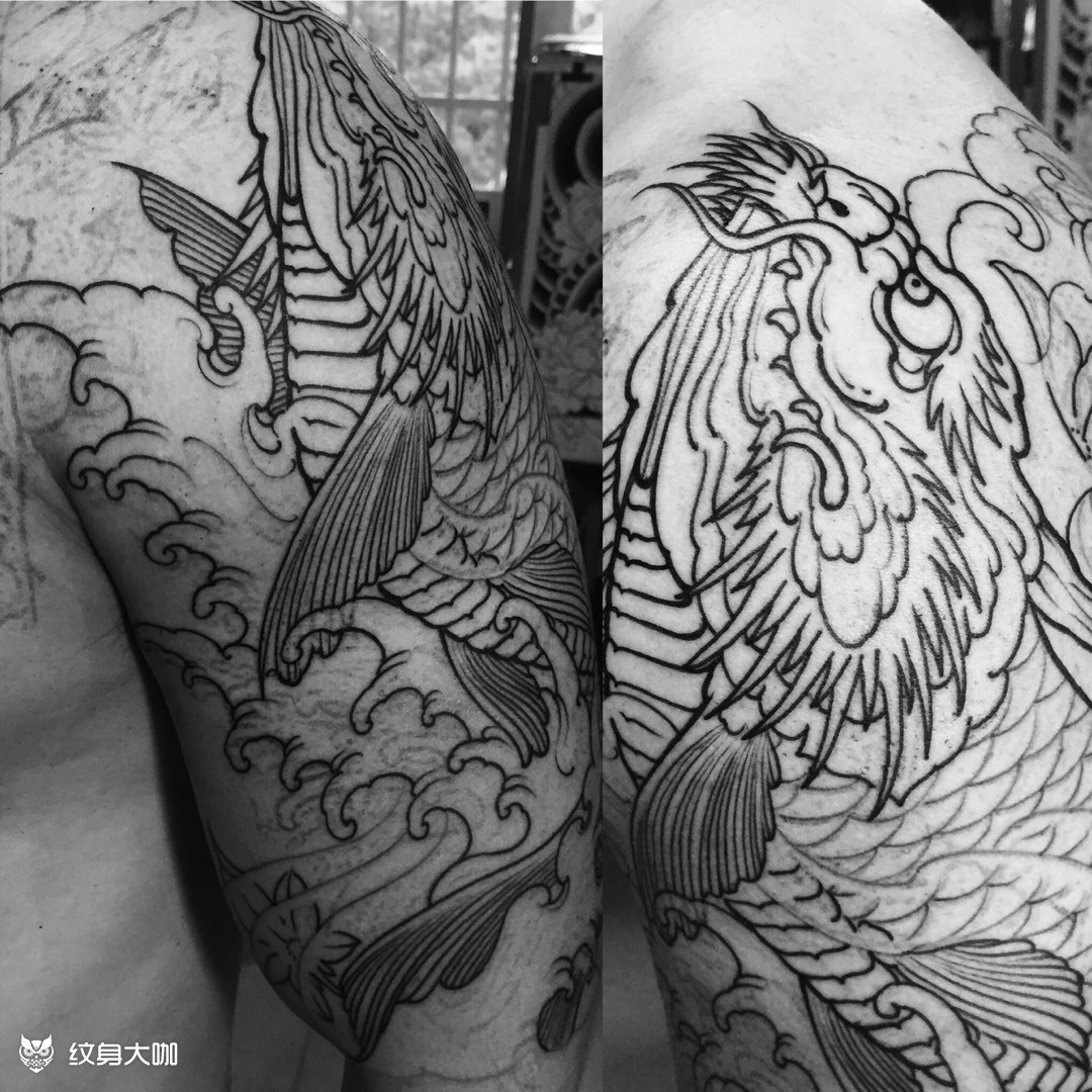 鳌鱼大臂 割线_纹身图案手稿图片_老k的纹身作品集