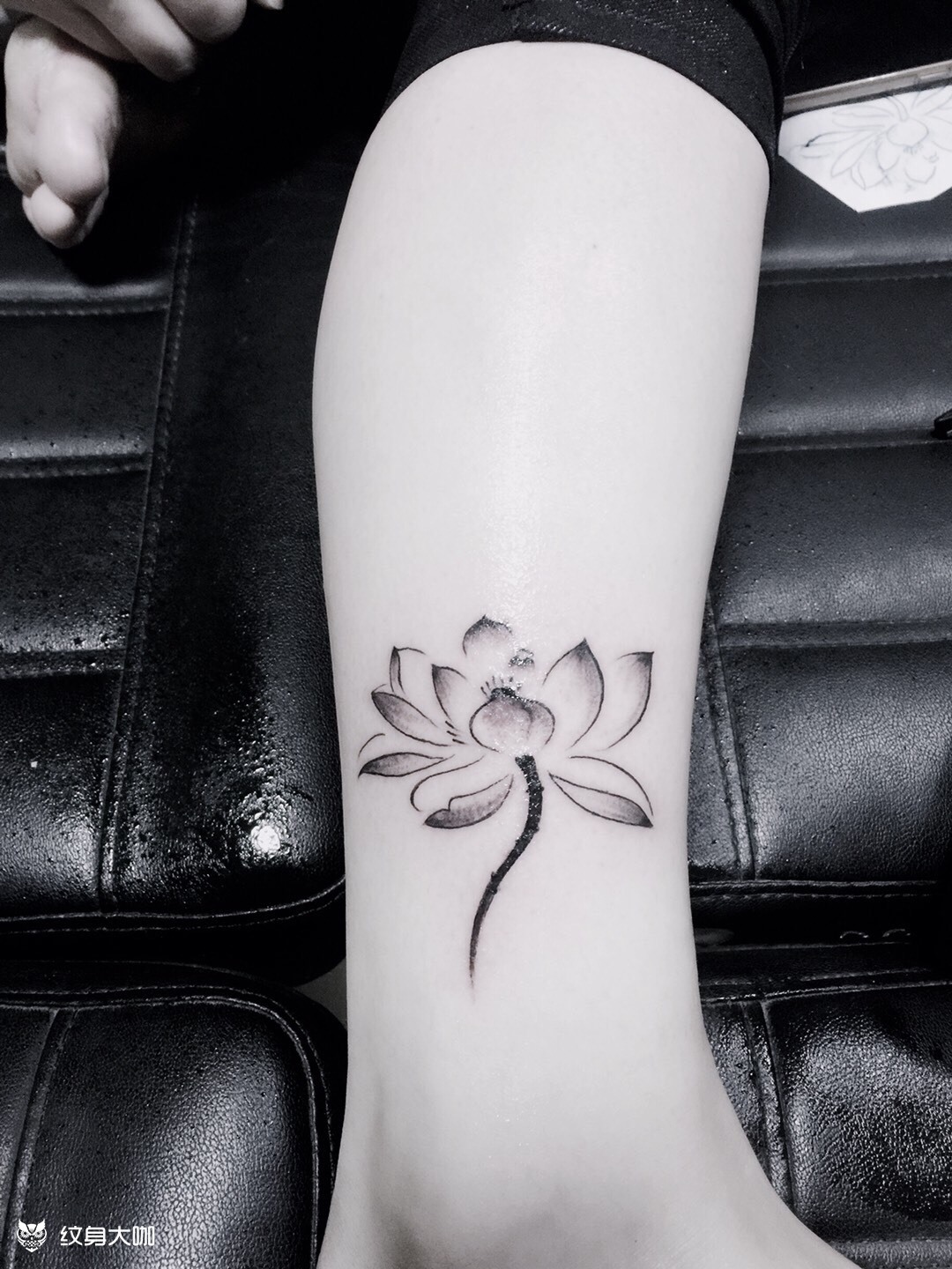 荷花_纹身图案手稿图片_闫苏的纹身作品集