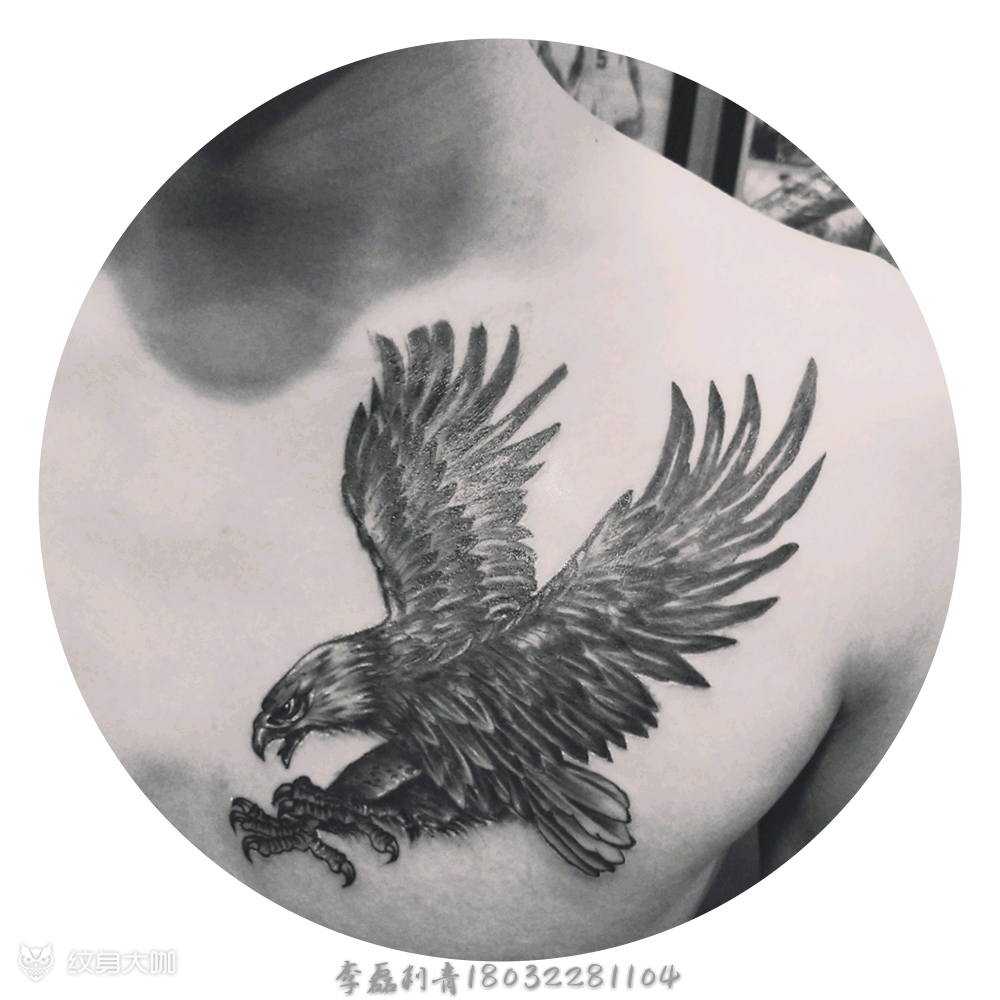 纹身鹰的图片前胸的图片