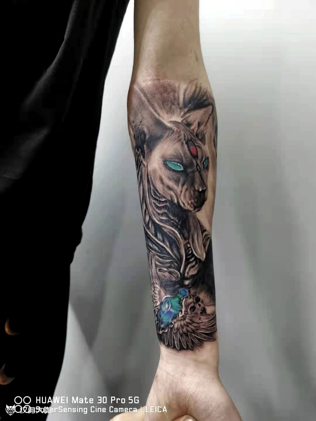 埃及猫_纹身图案手稿图片_精彩文生的纹身作品集