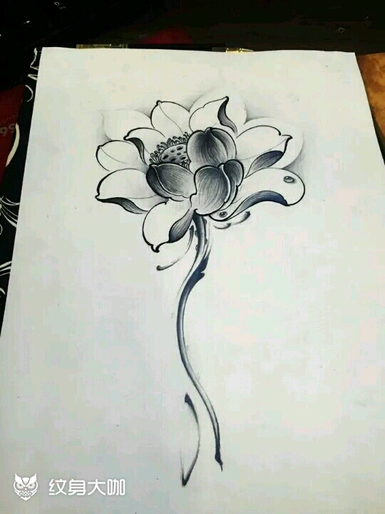 荷花池塘_纹身图案手稿图片_王国玉的纹身作品集