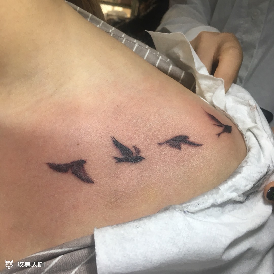 大雁 锁骨_纹身图案手稿图片_何芷灿的纹身作品集