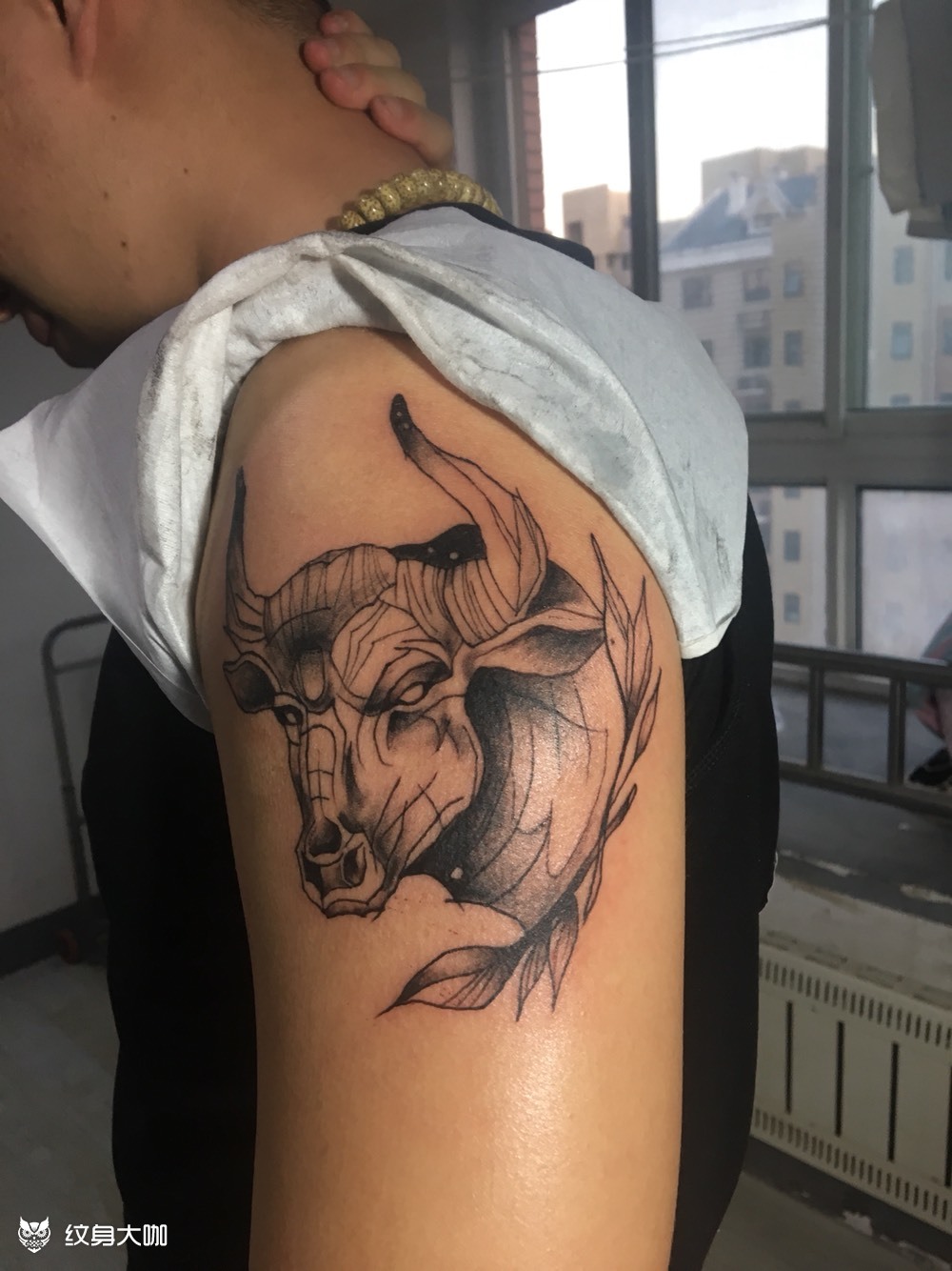 school 牛_纹身图案手稿图片_孙海榕的纹身作品集