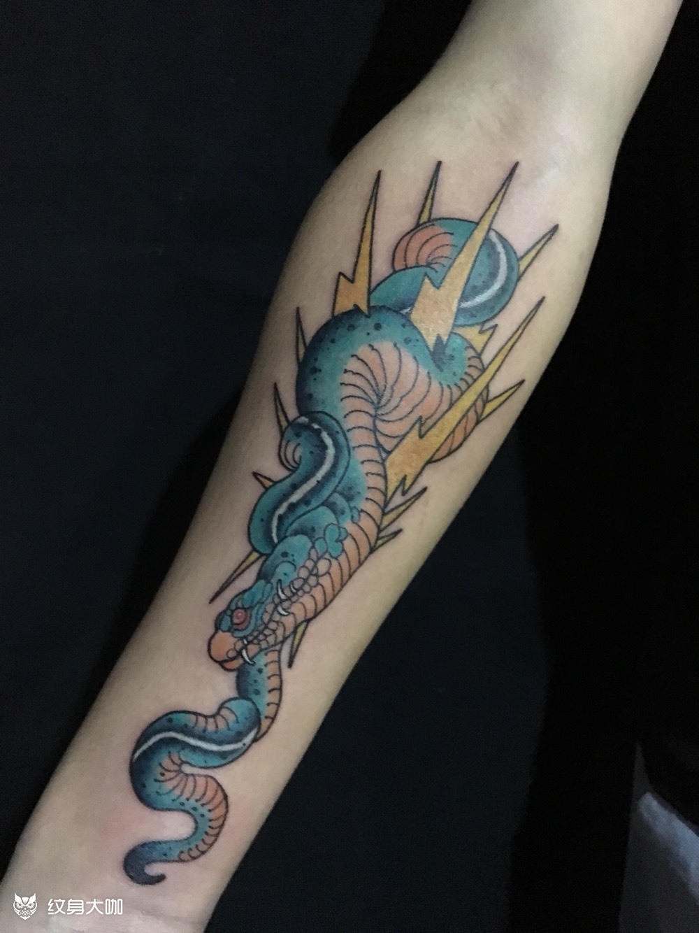 school蛇_纹身图案手稿图片_王晓霏的纹身作品集