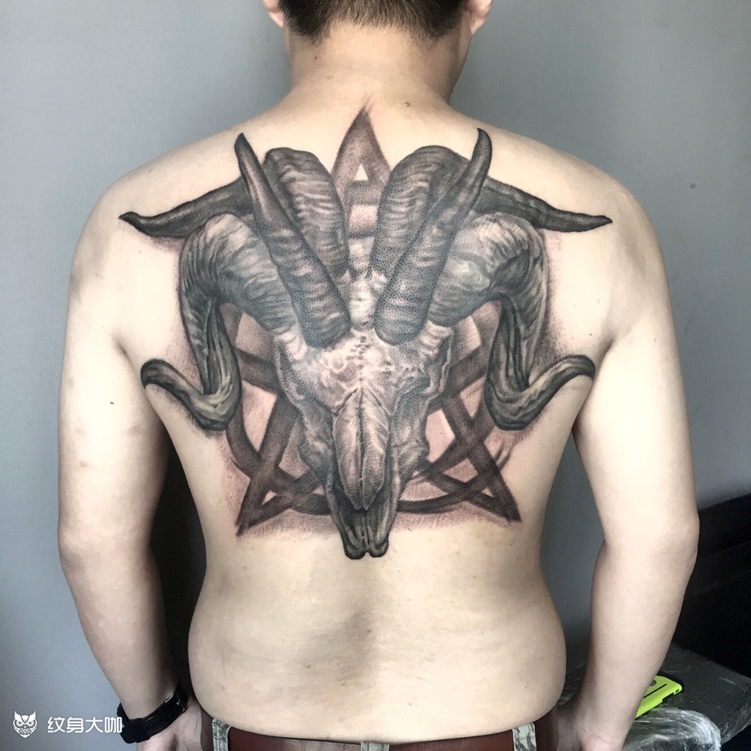 羊头满背_纹身图案手稿图片_sunny的纹身作品集