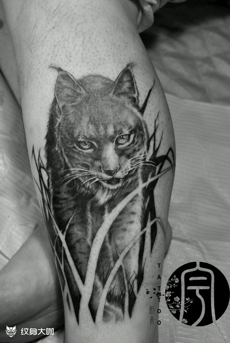 山猫_纹身图案手稿图片_成都祥宇刺青的纹身作品集
