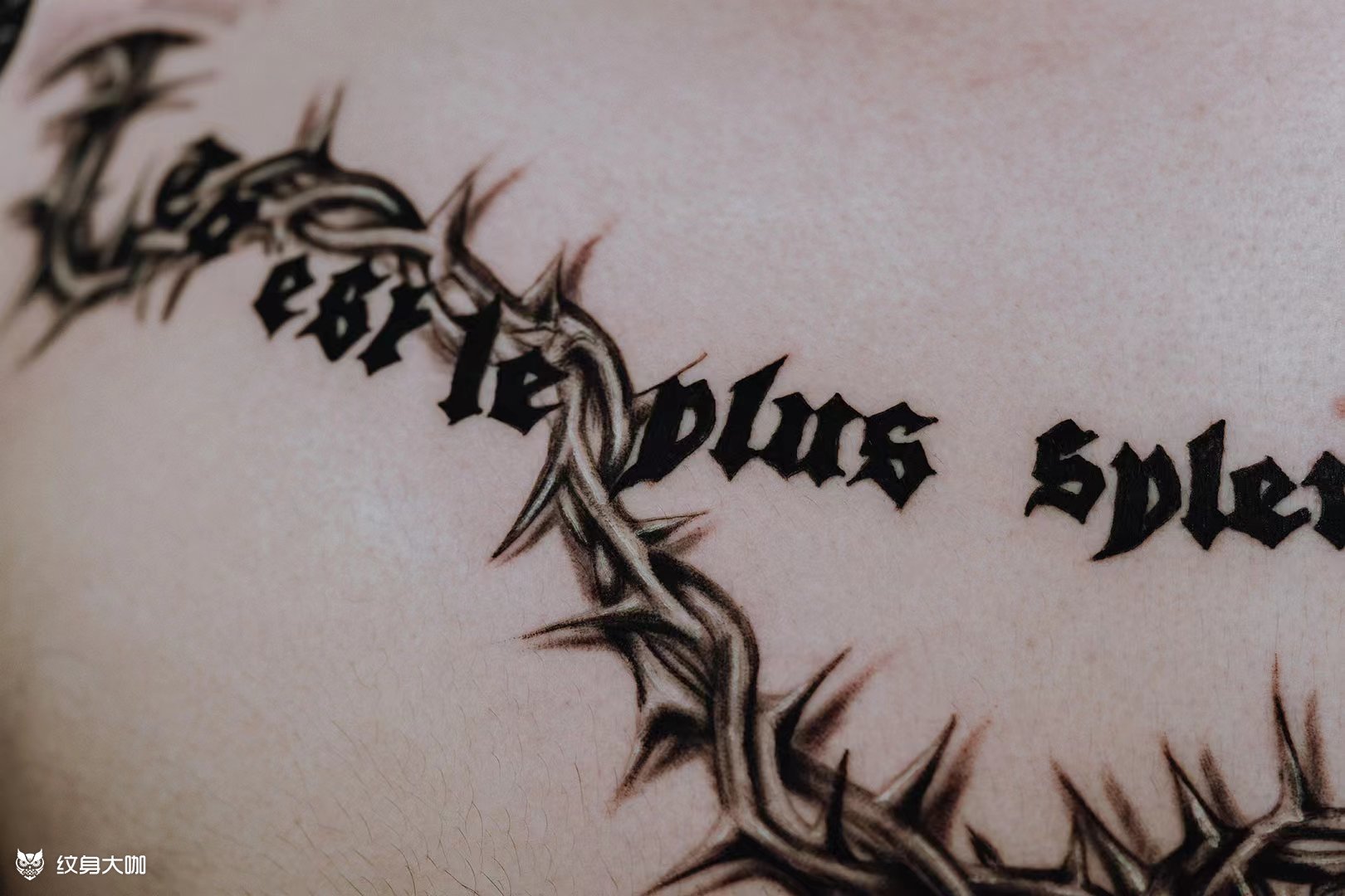 胸口荆棘纹身作品_纹身图案手稿图片_兵哥的纹身作品集