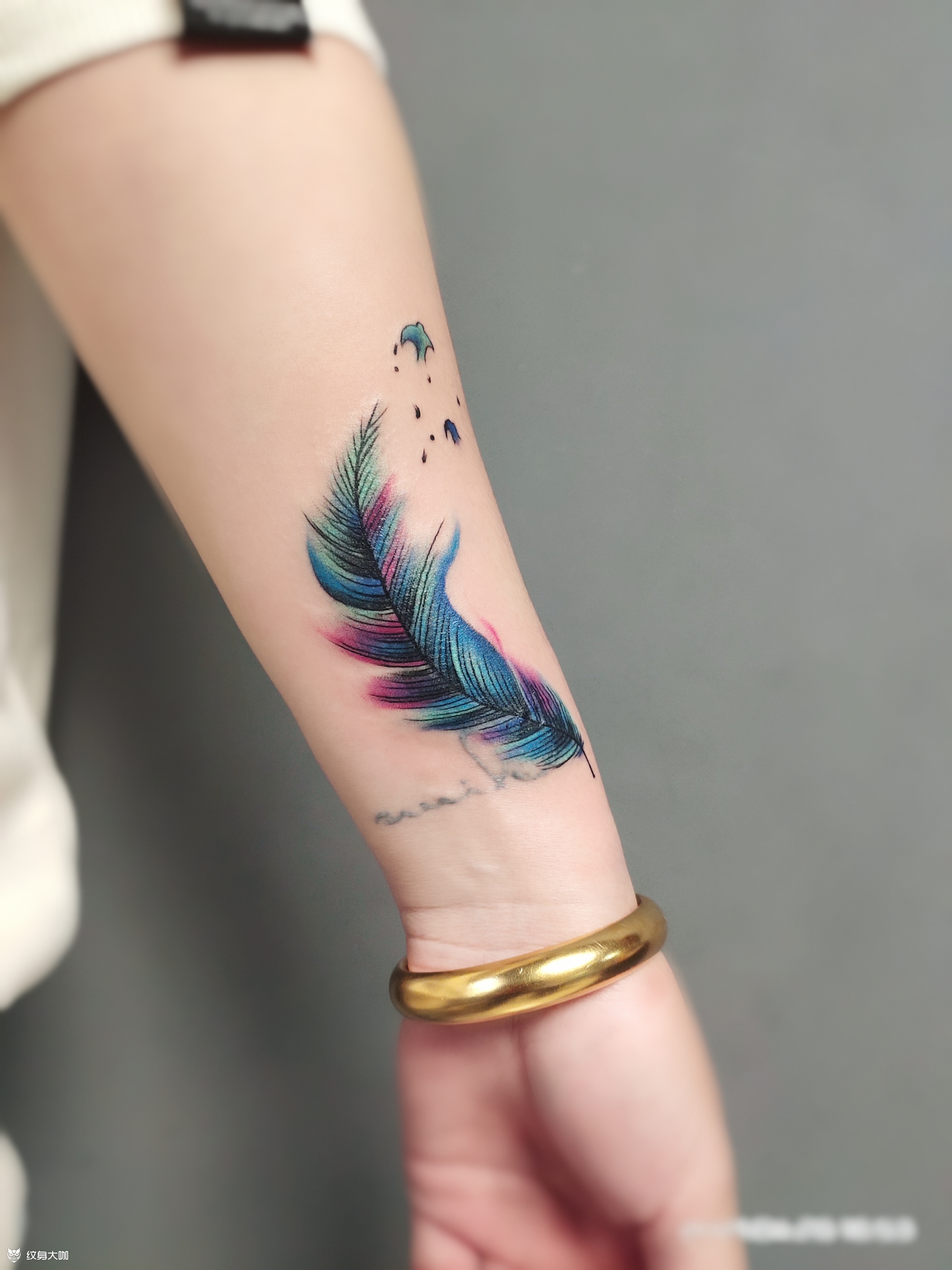 羽毛_纹身图案手稿图片_张楠的纹身作品集