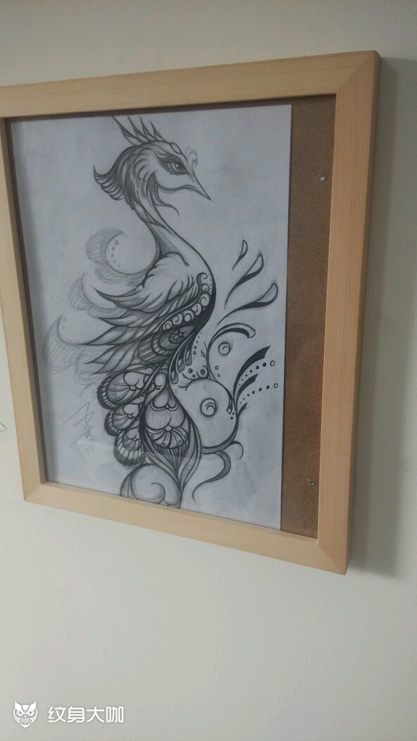 原创手稿孔雀_纹身图案手稿图片_高精博的纹身作品集