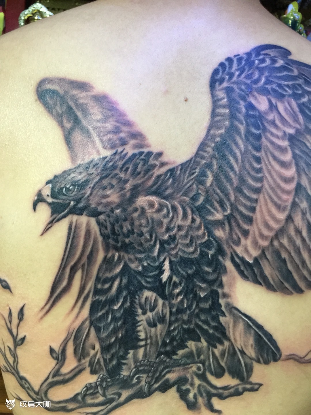 大鹏展翅_纹身图案手稿图片_高岩的纹身作品集