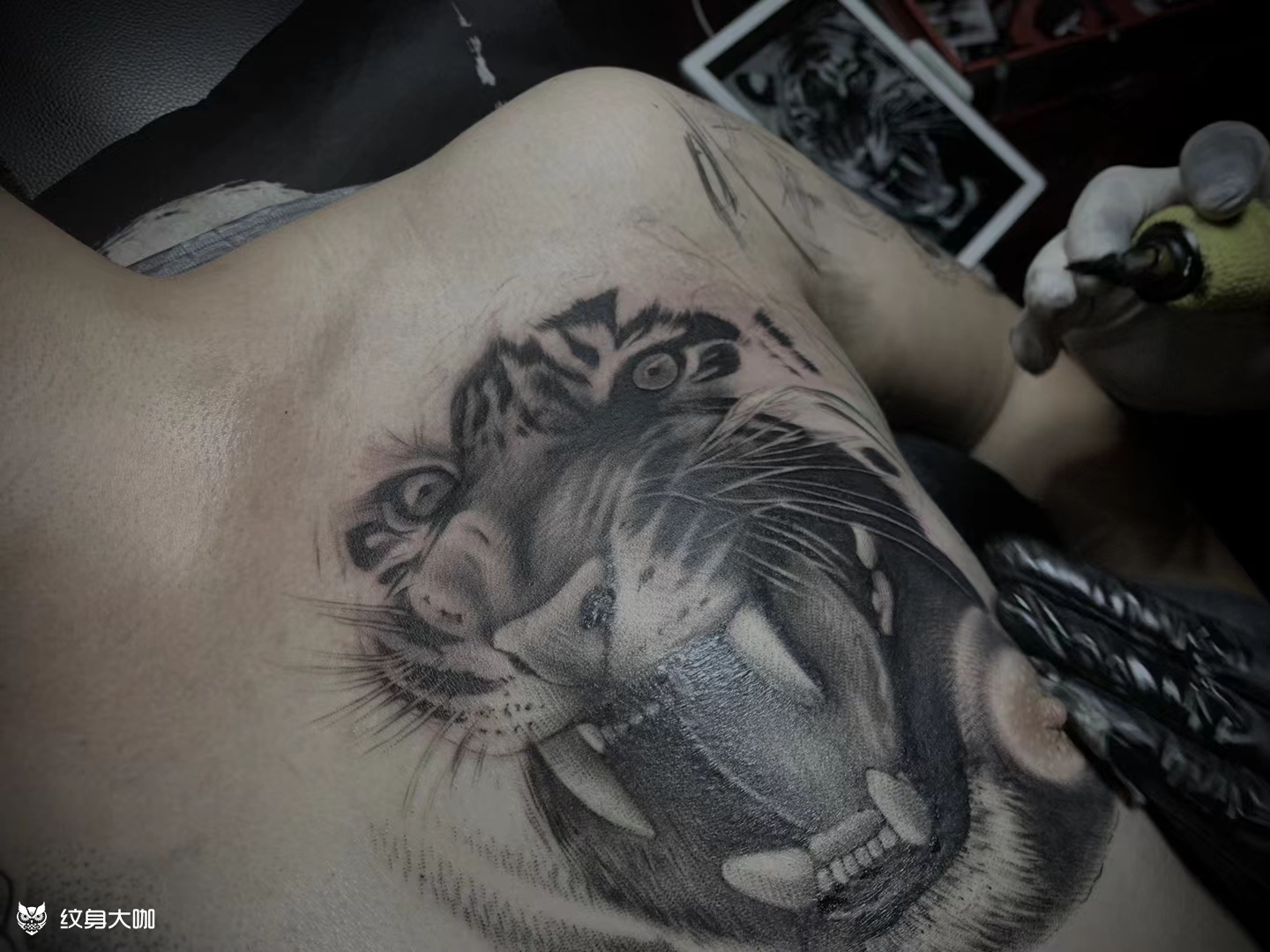 胸口老虎耗时6小时_纹身图案手稿图片_张伟的纹身作品集