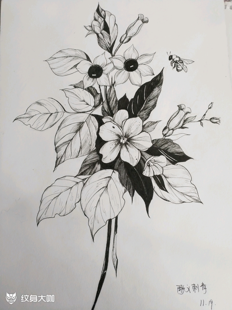 素描花手稿