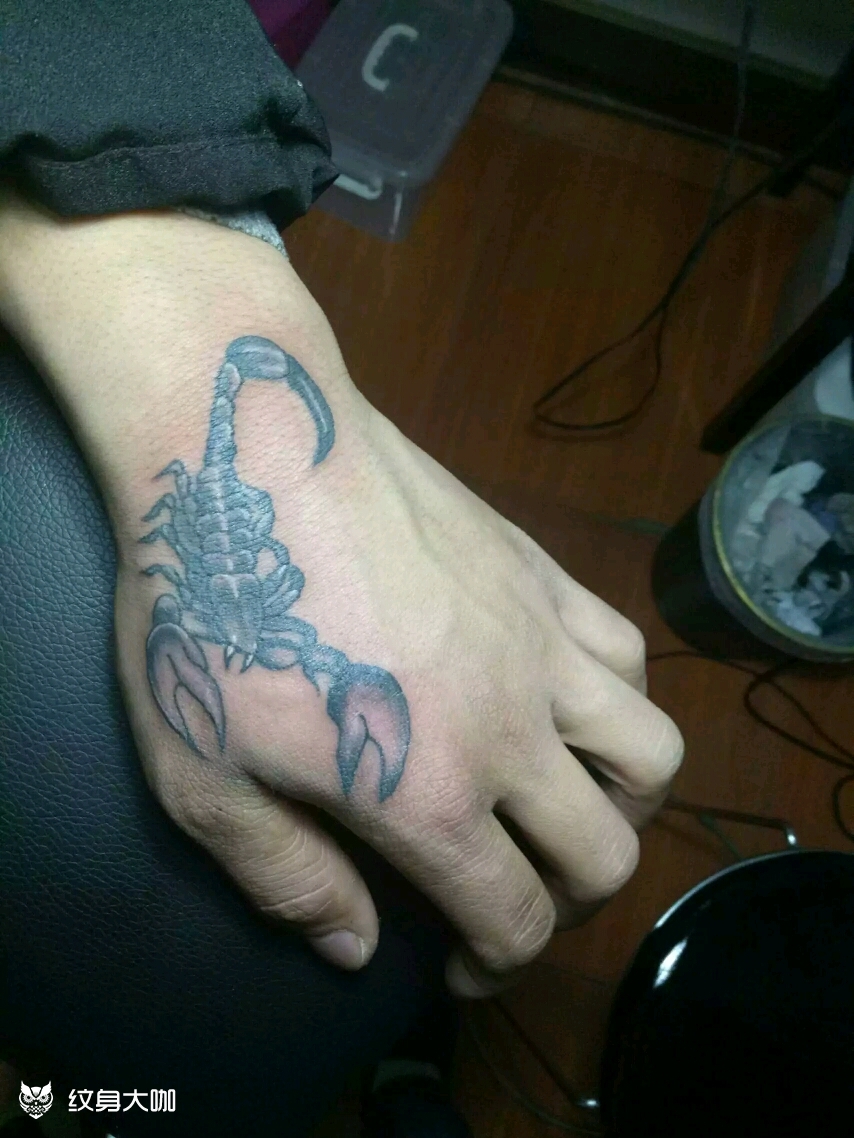 蝎子_纹身图案手稿图片_永义堂亮哥哥的纹身作品集