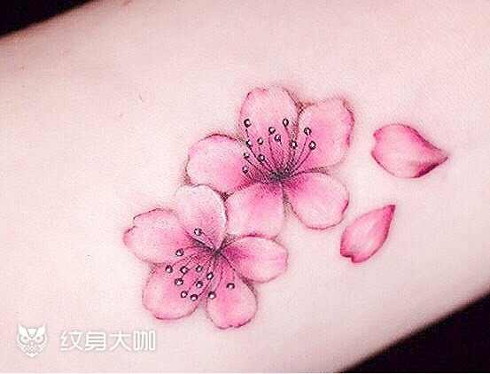 樱花纹身图案女士图片