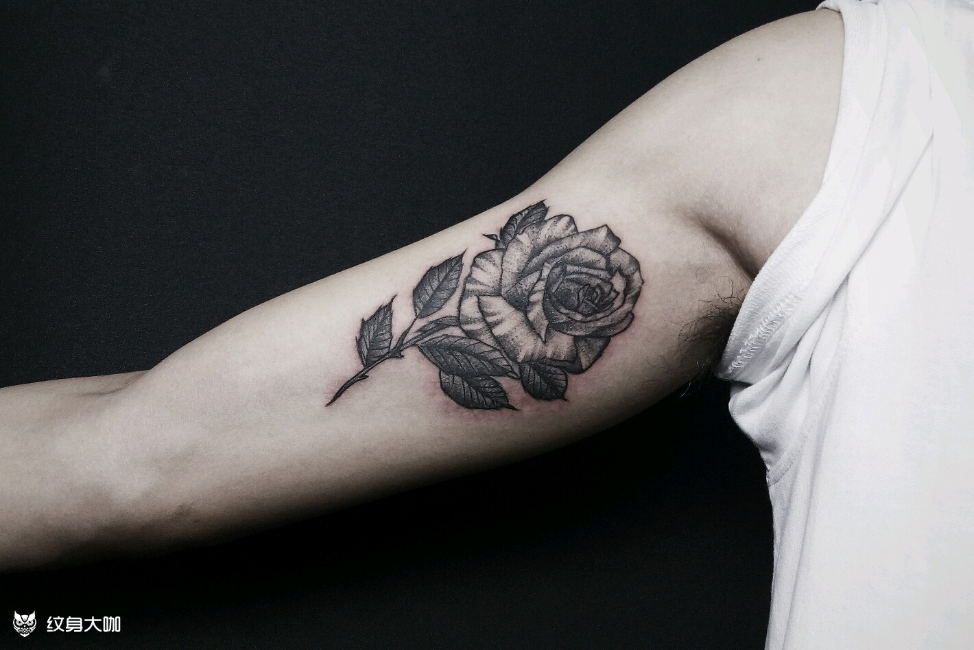 点刺玫瑰_纹身图案手稿图片_小鸡仔的纹身作品集