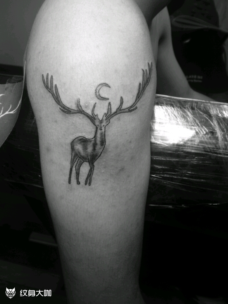 萌鹿_纹身图案手稿图片_叶文斌的纹身作品集