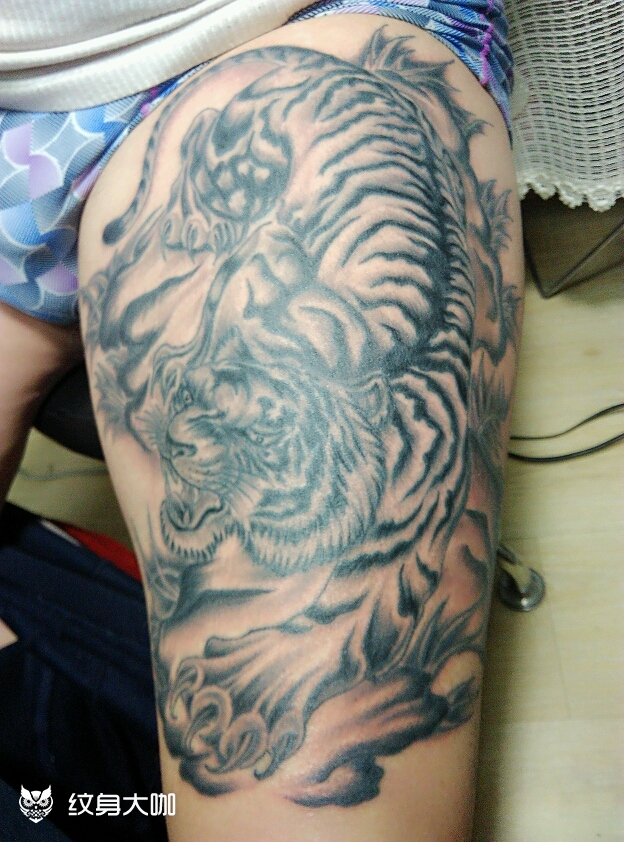 下山虎_纹身图案手稿图片_郭磊的纹身作品集