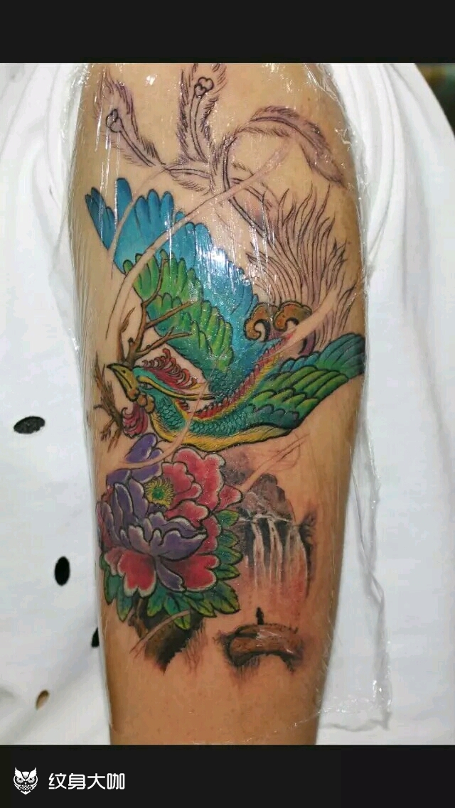 凤(未完成)_纹身图案手稿图片_言中的纹身作品集