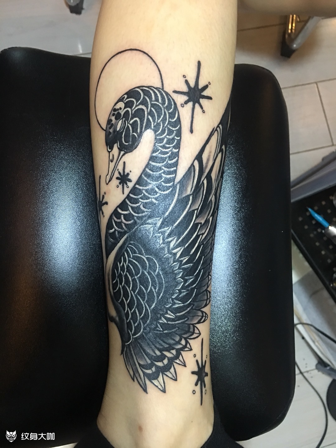 天鹅_纹身图案手稿图片_亮子的纹身作品集