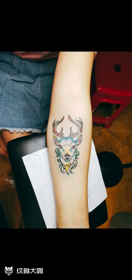 彩色麋鹿_纹身图案手稿图片_墨铭的纹身作品集