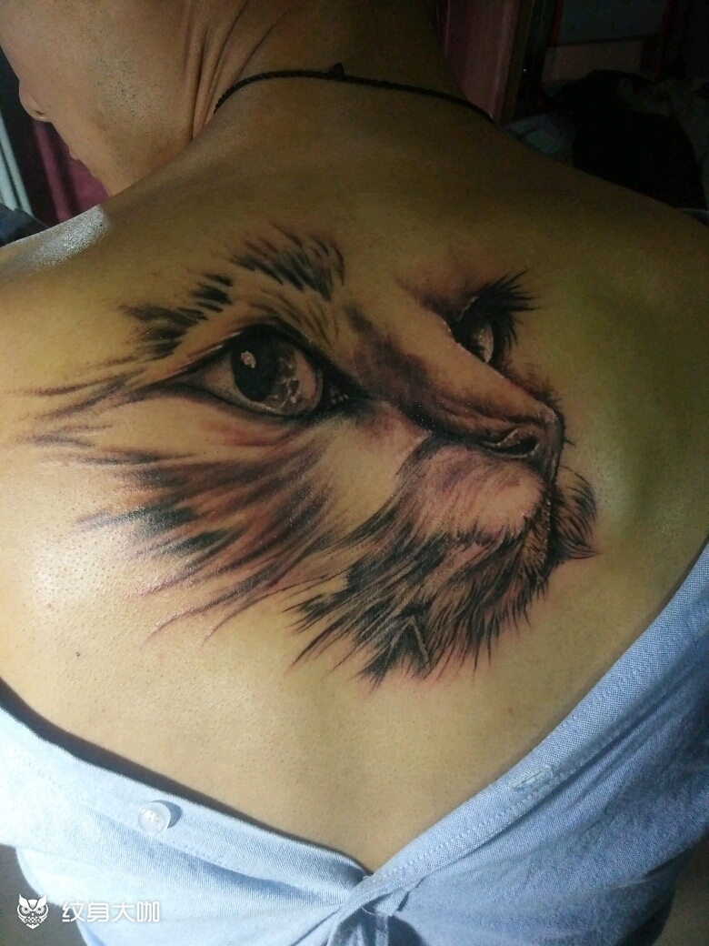 猫头_纹身图案手稿图片_聚义堂的纹身作品集