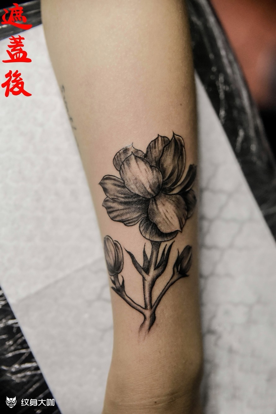 遮盖疤痕 茉莉花_纹身图案手稿图片_嘉祺的纹身作品集