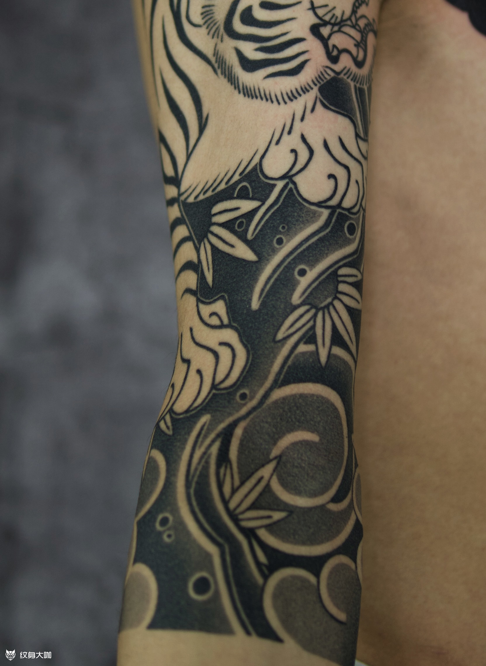 接着纹背景!老传统七分袖半胛_纹身吧社区 - 纹身大咖