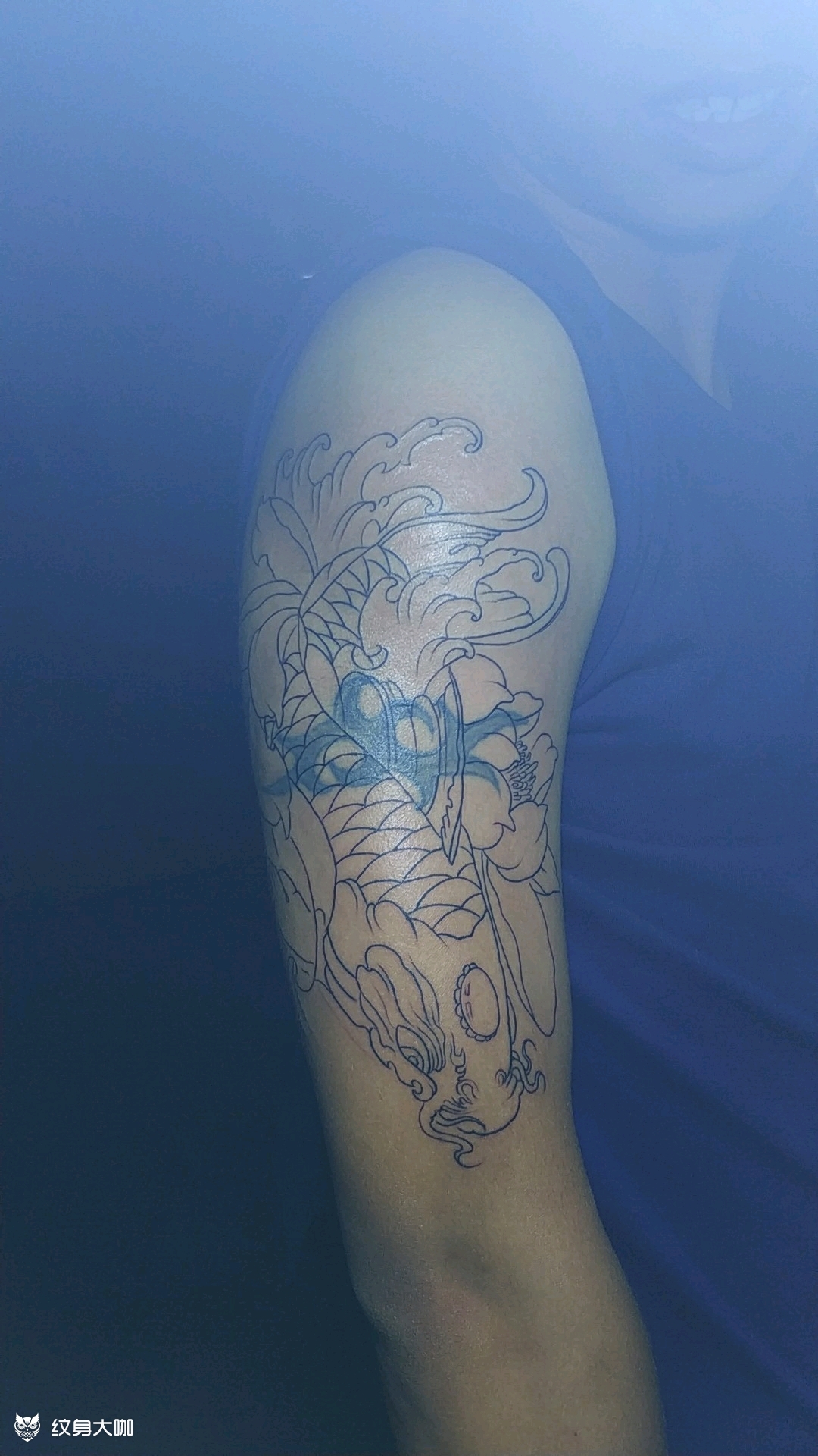 蓝色鲤鱼纹身图案图片