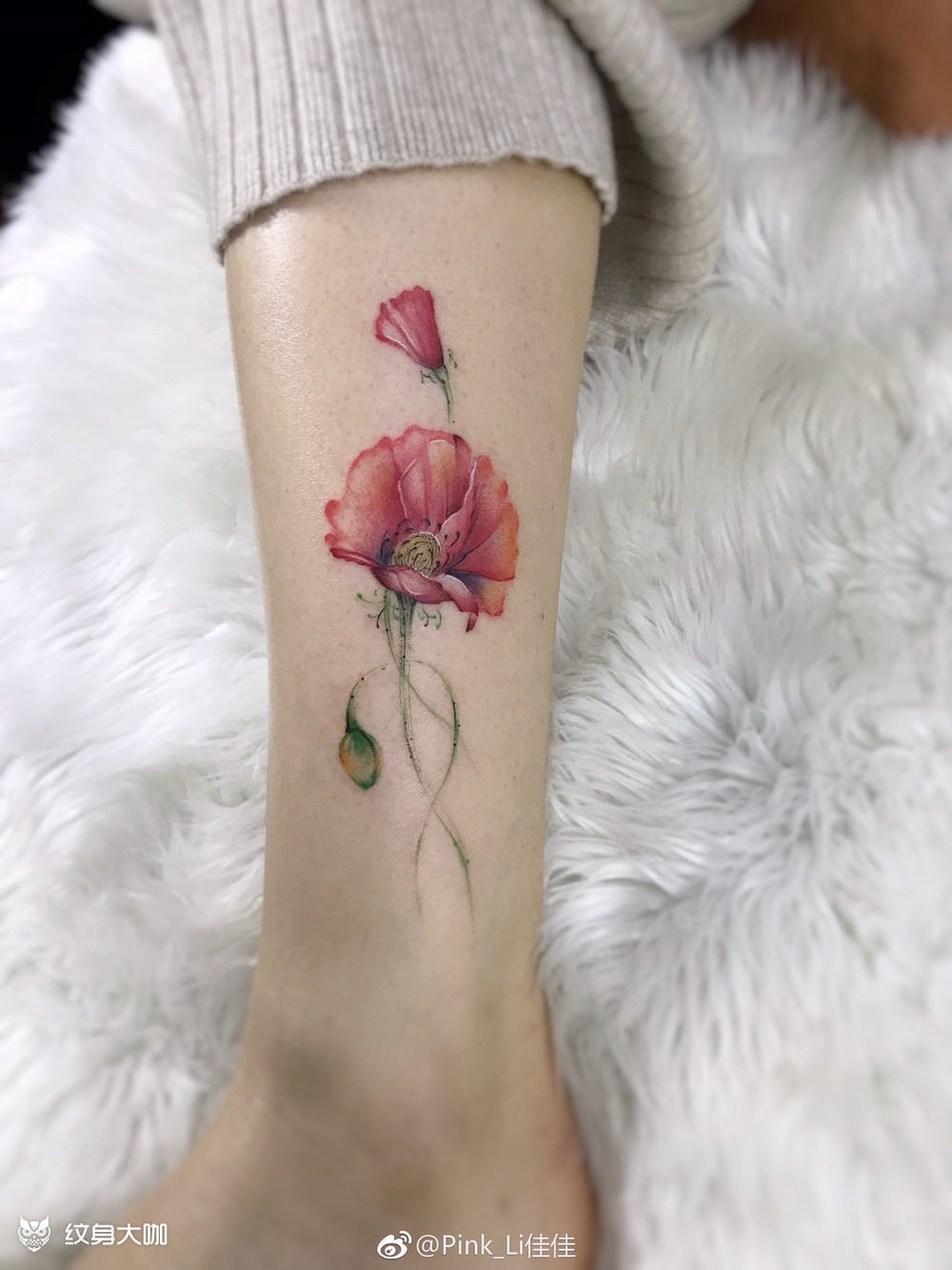 纹身图案手稿图片_pink_li的纹身作品集