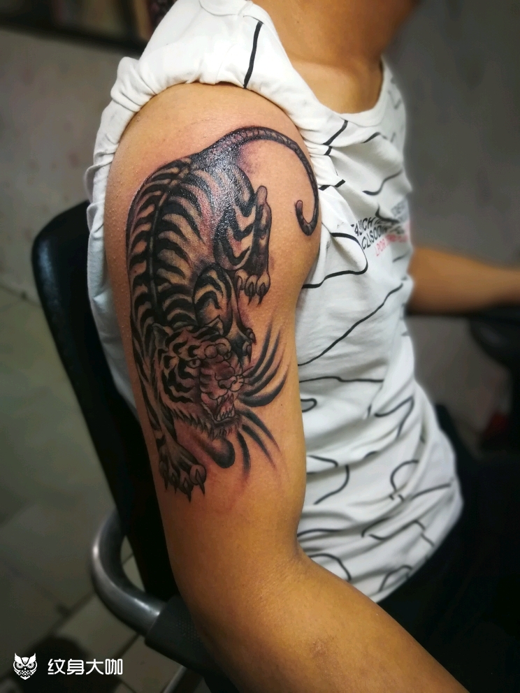 下山虎_纹身图案手稿图片_阿龙的纹身作品集