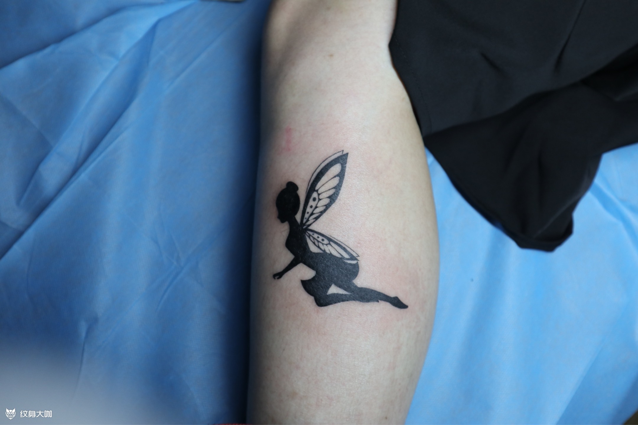 花仙子遮盖疤痕_纹身图案手稿图片_幻刺tattoo的纹身作品集