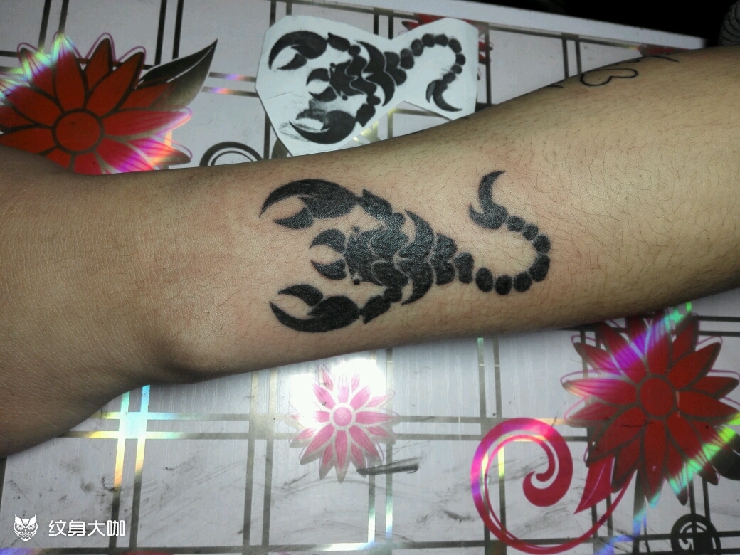 蝎子_纹身图案手稿图片_刺客的纹身作品集