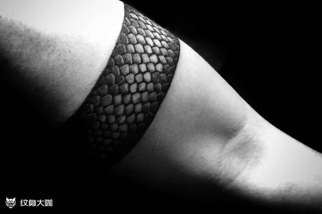 蛇皮臂环97_纹身图案手稿图片_谢沂纯的纹身作品集
