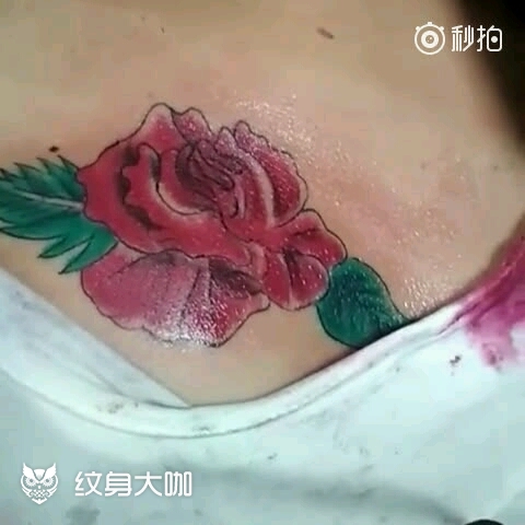 胸前玫瑰花未完成_纹身图案手稿图片_阿峰的纹身作品集