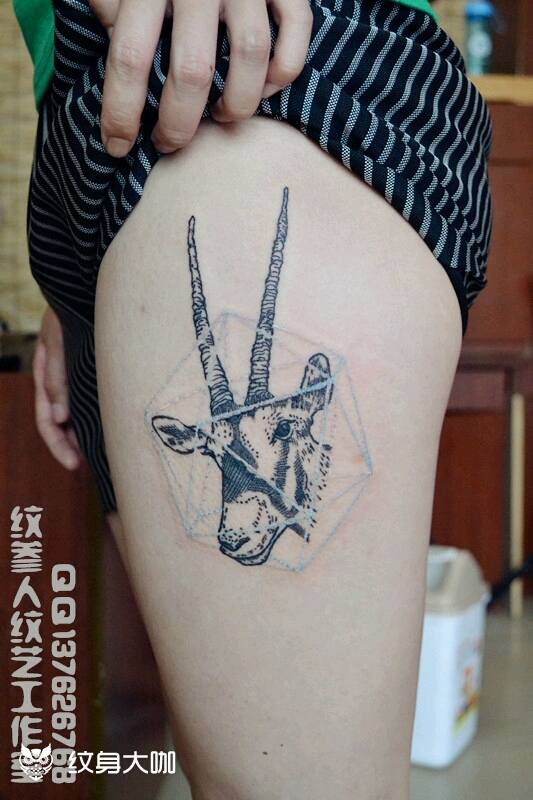 羚羊_纹身图案手稿图片_郑忠伟的纹身作品集