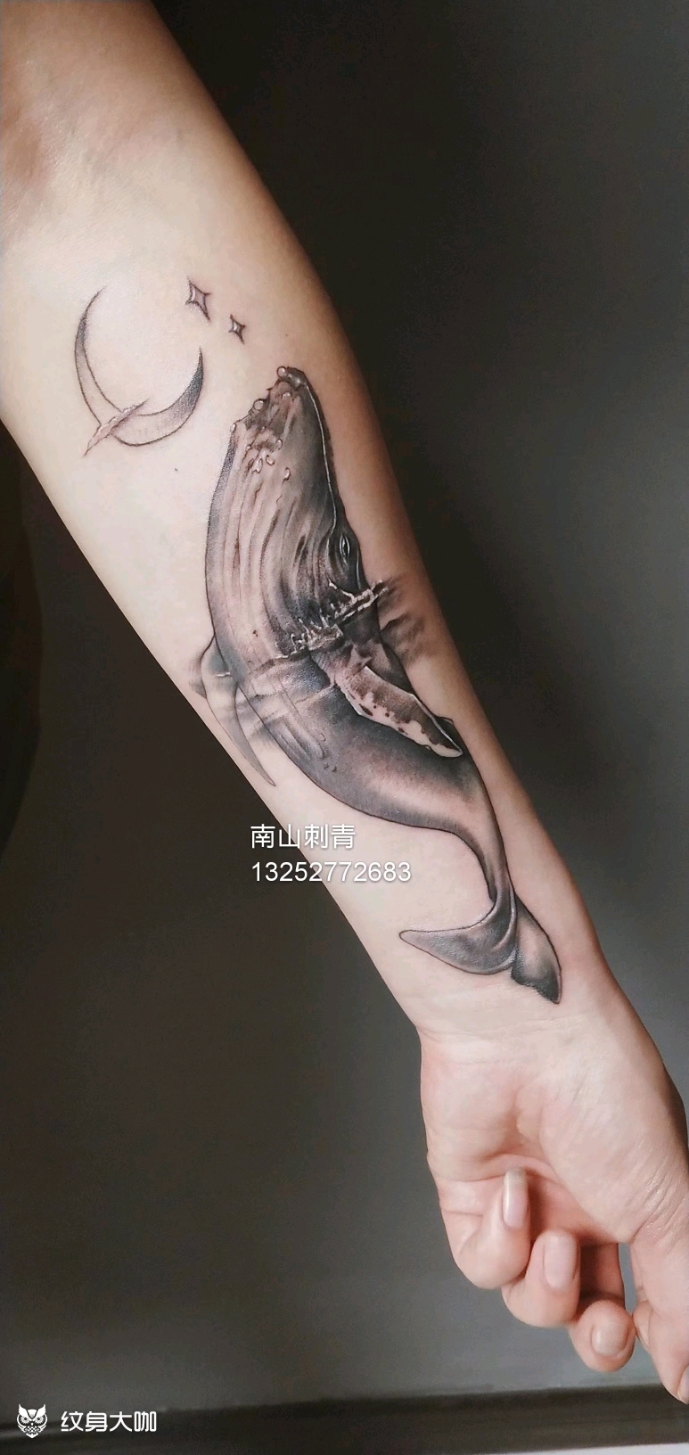 鲲鹏_纹身图案手稿图片_张楠的纹身作品集