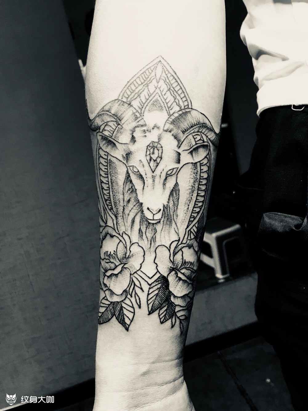 摩羯_纹身图案手稿图片_小超的纹身作品集