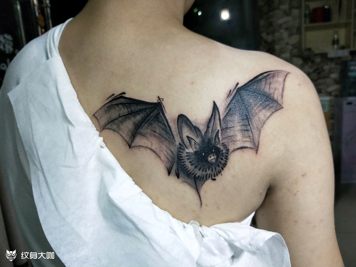 蝙蝠_纹身图案手稿图片_雪狼刺青的纹身作品集