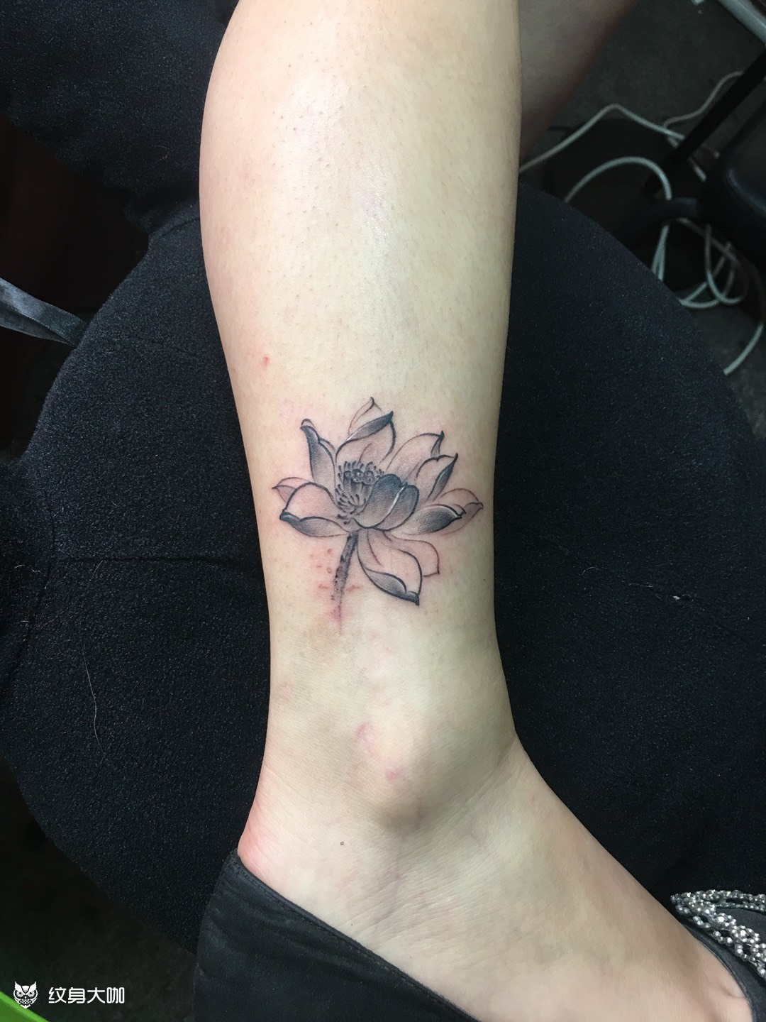 脚踝荷花_纹身图案手稿图片_宋风的纹身作品集