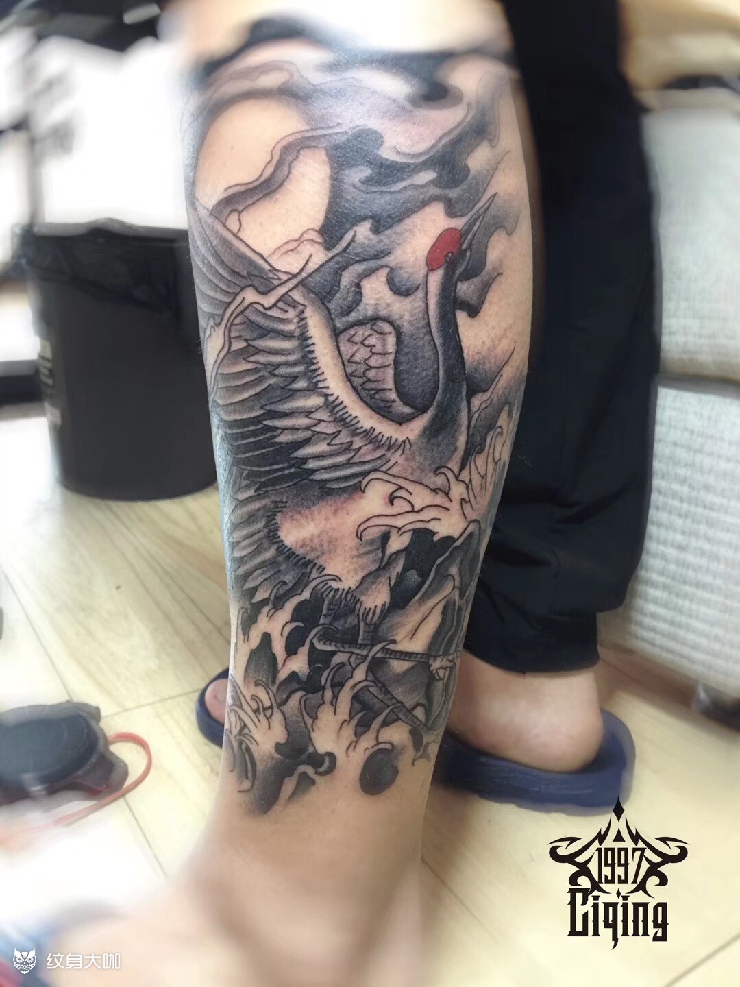 鹤_纹身图案手稿图片_顾恒宇的纹身作品集