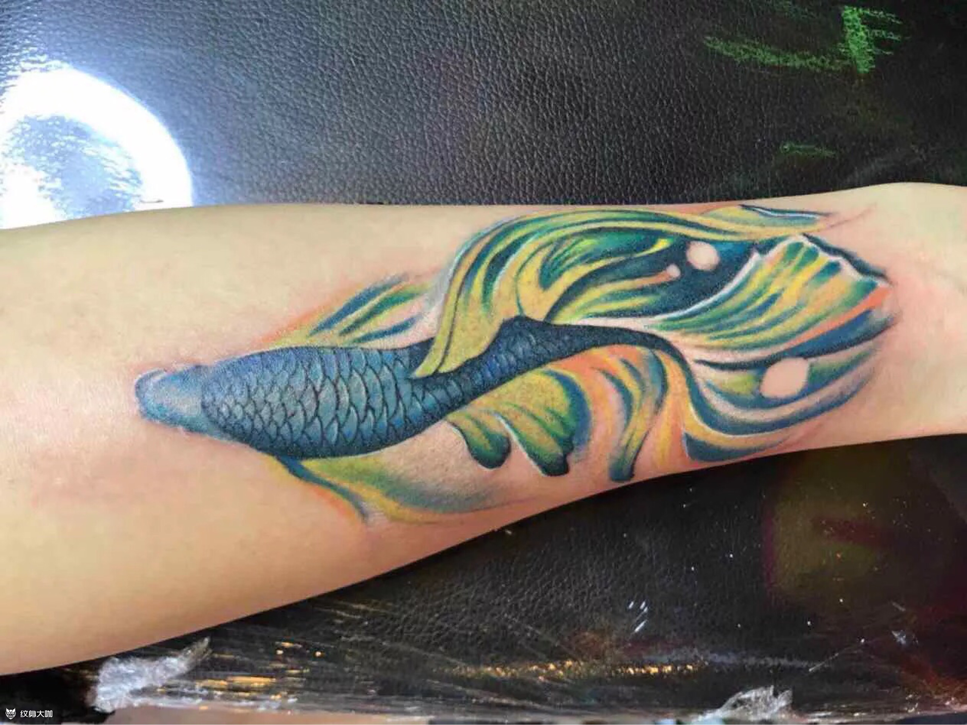 水彩鱼_纹身图案手稿图片_雕风的纹身作品集