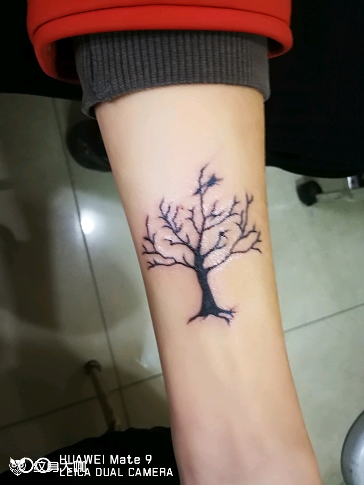 枯树_纹身图案手稿图片_飞扬阿德的纹身作品集