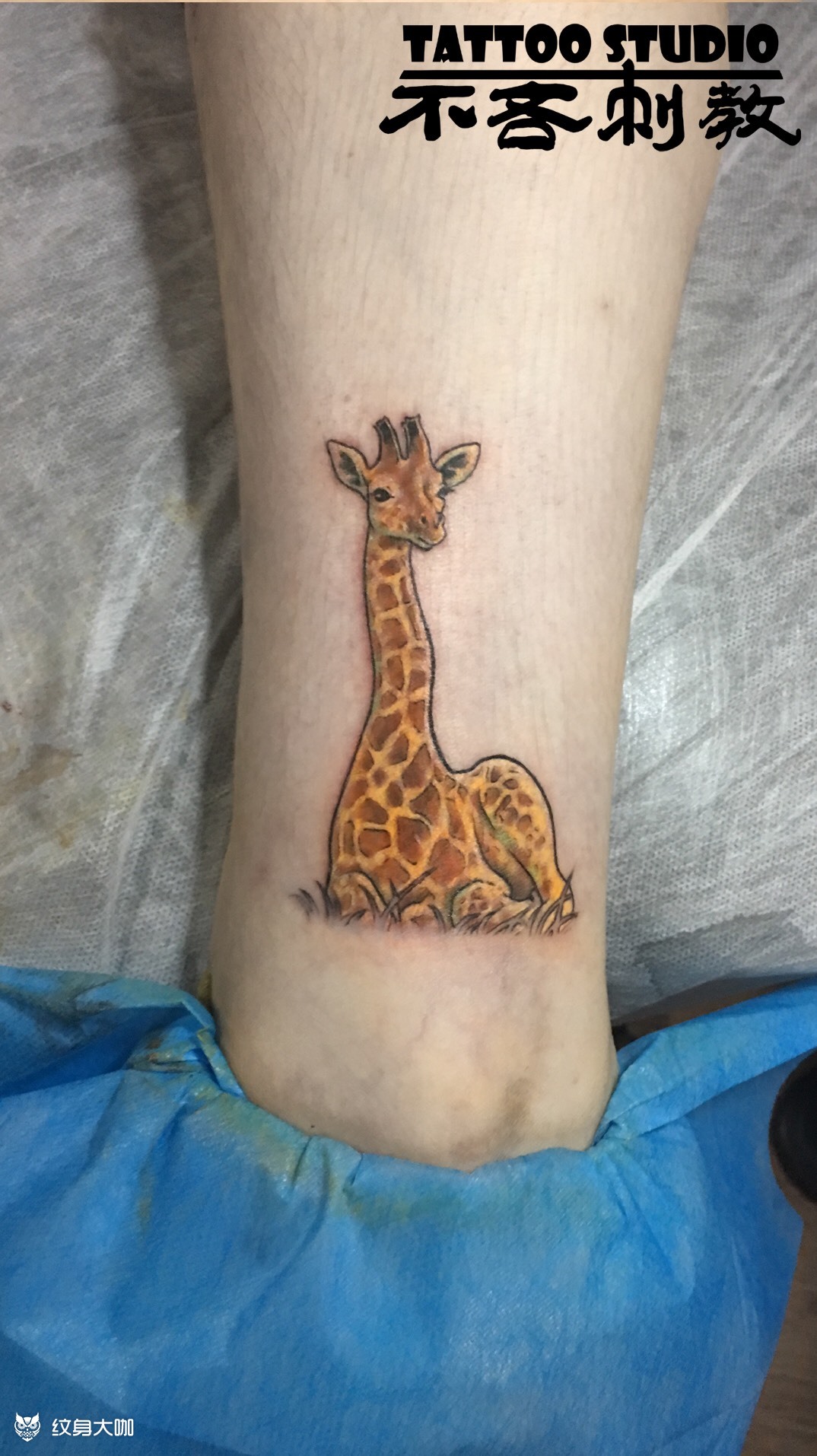 长颈鹿_纹身图案手稿图片_burinskill的纹身作品集