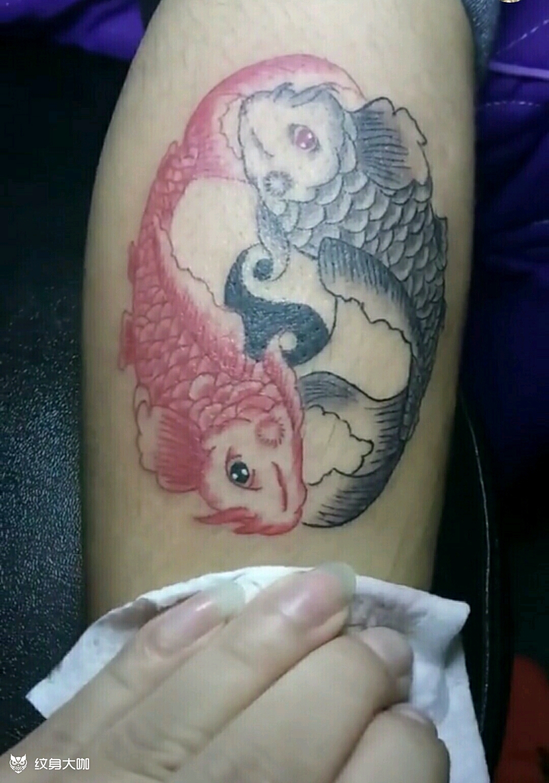 阴阳鱼_纹身图案手稿图片_lc的纹身作品集