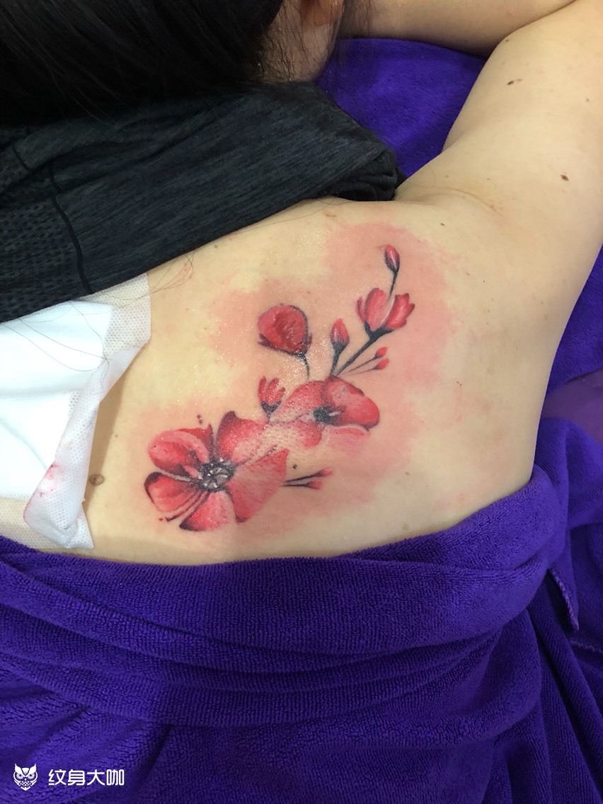 桃花_纹身图案手稿图片_钱俊成的纹身作品集