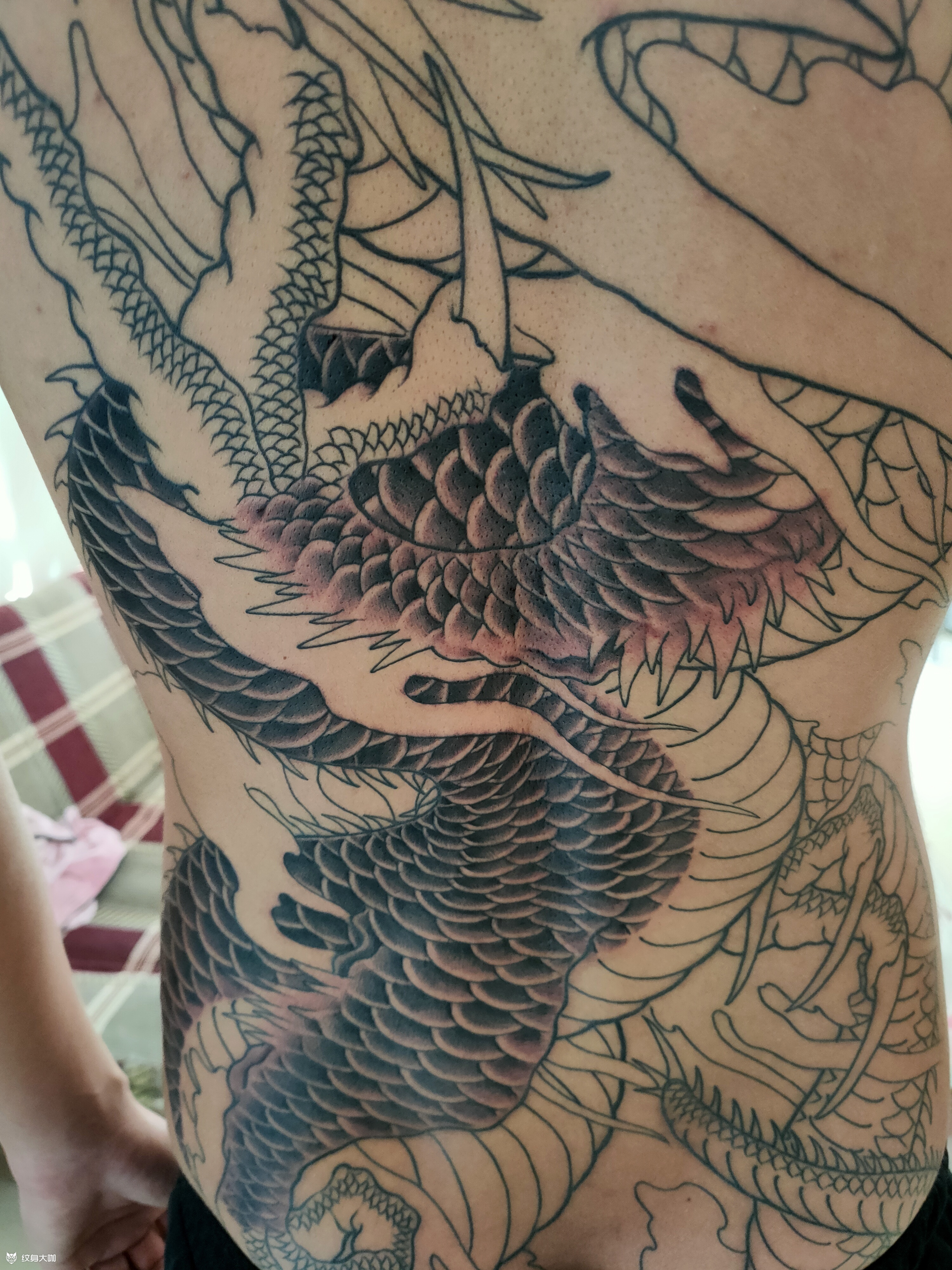 满背龙_纹身吧社区 - 纹身大咖