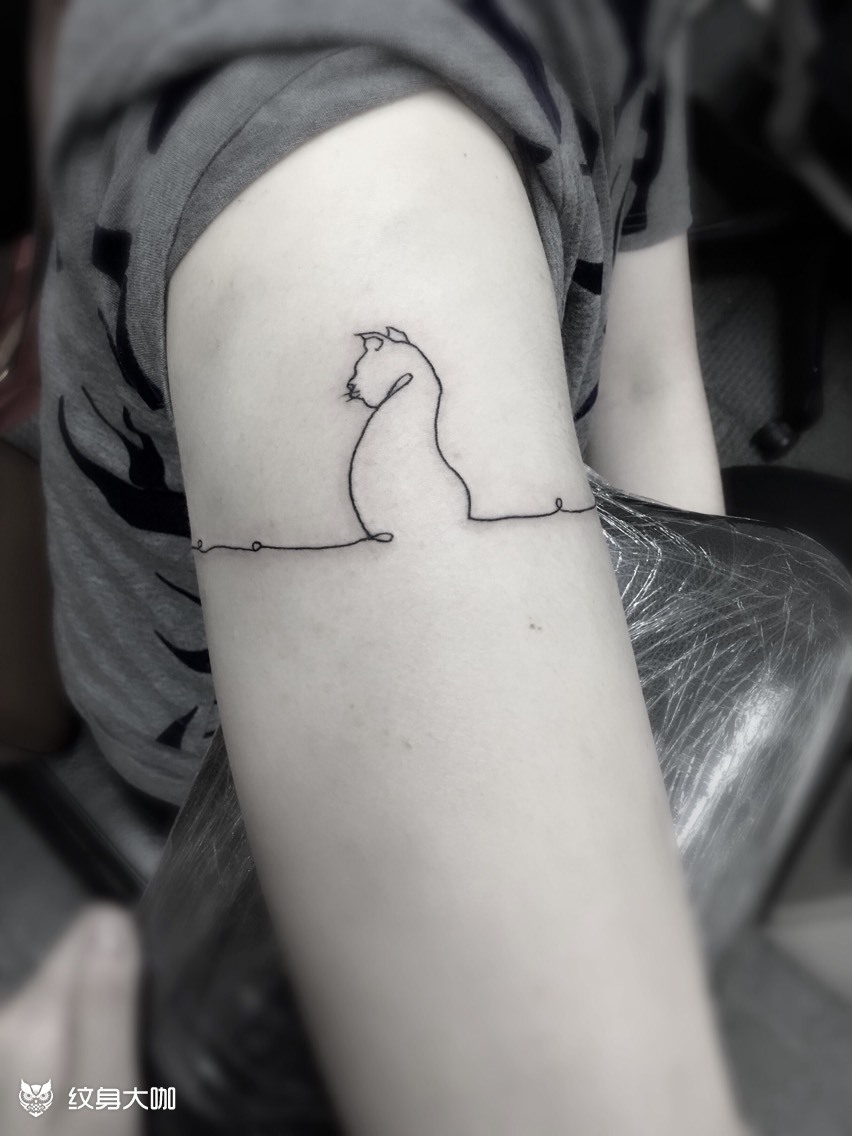单线猫咪_纹身图案手稿图片_大青的纹身作品集