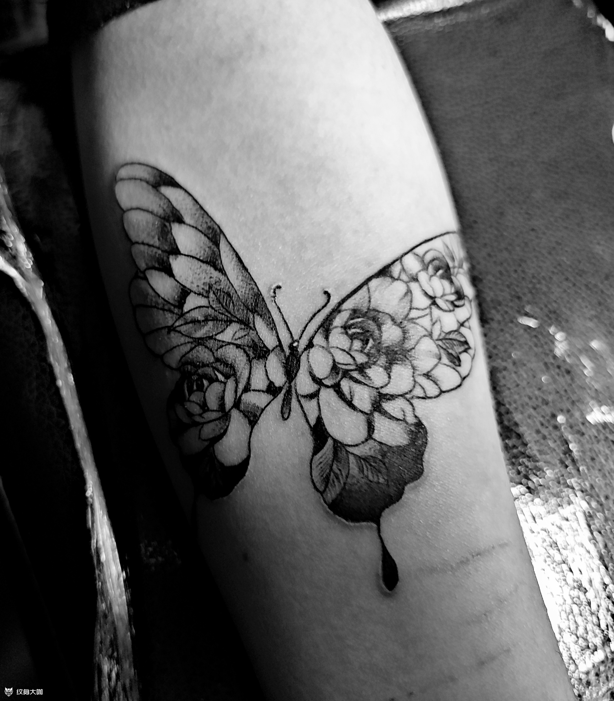 花蝴蝶_纹身图案手稿图片_陆无敌的纹身作品集